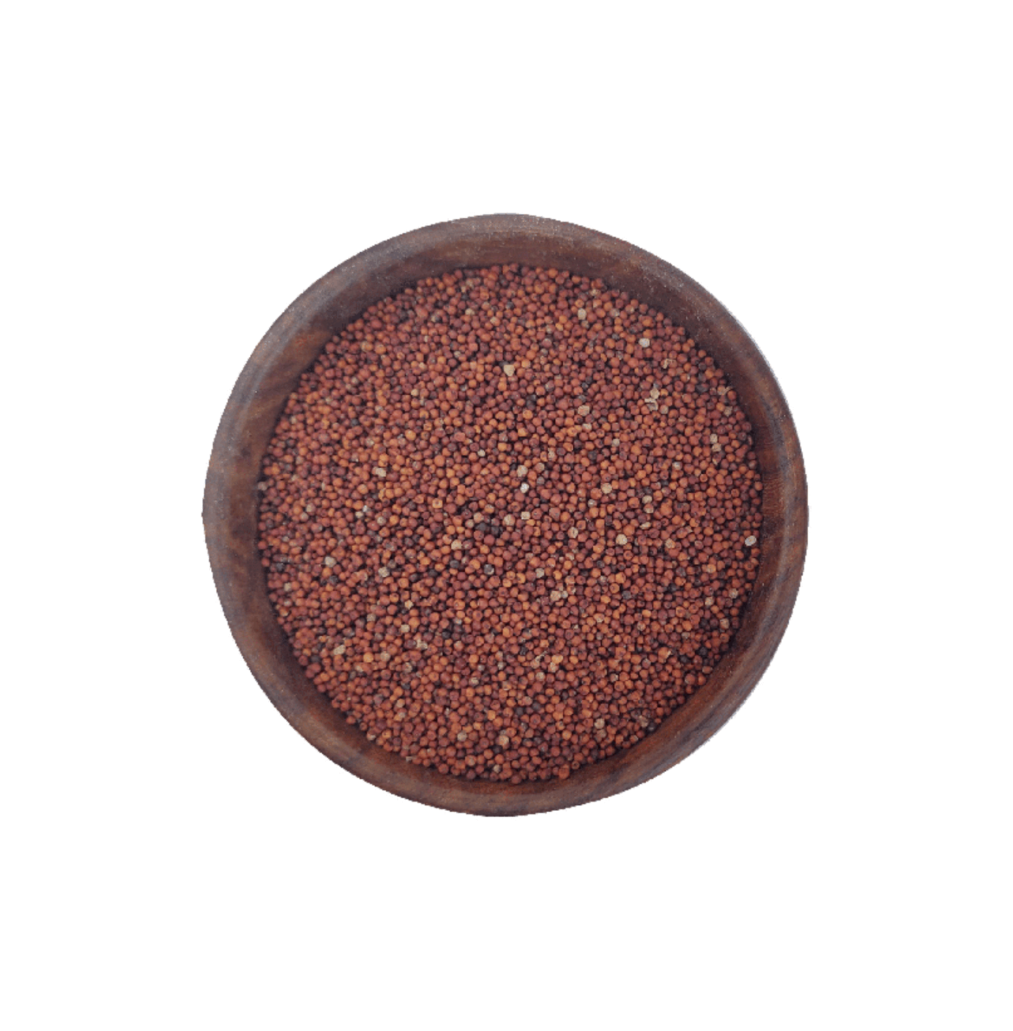 Finger Millet (Ragi)