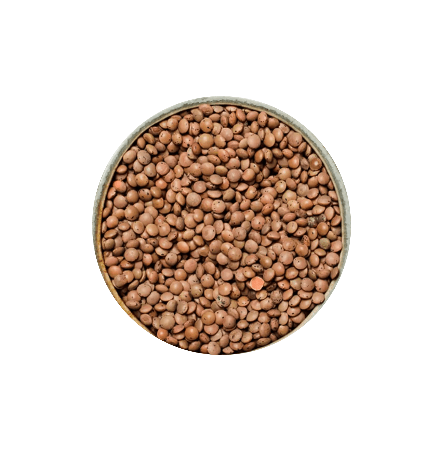 Lentils